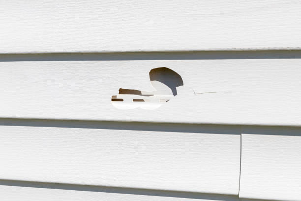 Best Custom Siding Design  in Grandview Heights, OH